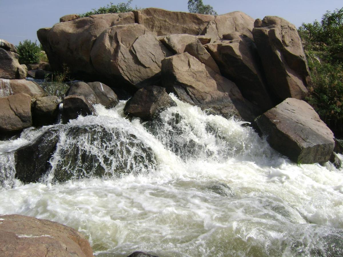 Farm stay Gowri Nature Farm