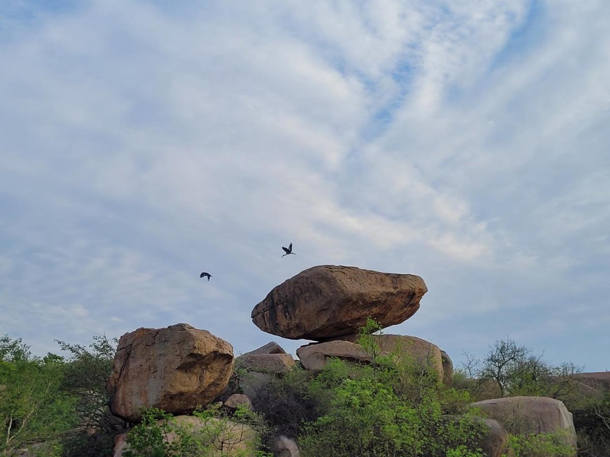 Gowri Nature Farm Farm stay Hampi