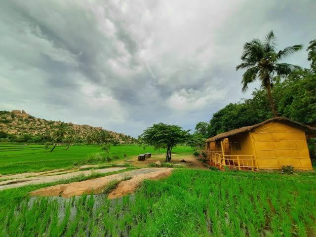 Gowri Nature Farm Farm stay