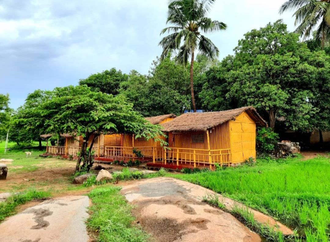 Gowri Nature Farm * Hampi