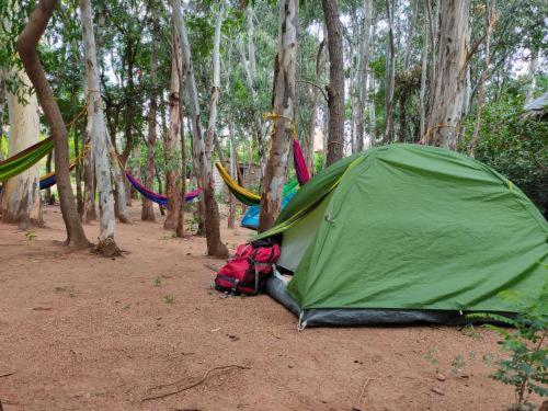 Gowri Nature Farm Farm stay